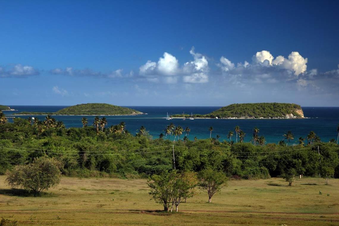 Hacienda Tamarindo Hotel วีเอเกส ภายนอก รูปภาพ